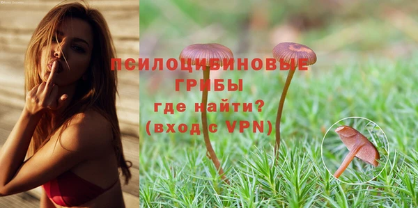 спиды Абинск