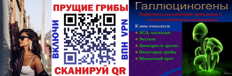 Галлюциногенные грибы MAGIC MUSHROOMS где можно купить Кисловодск